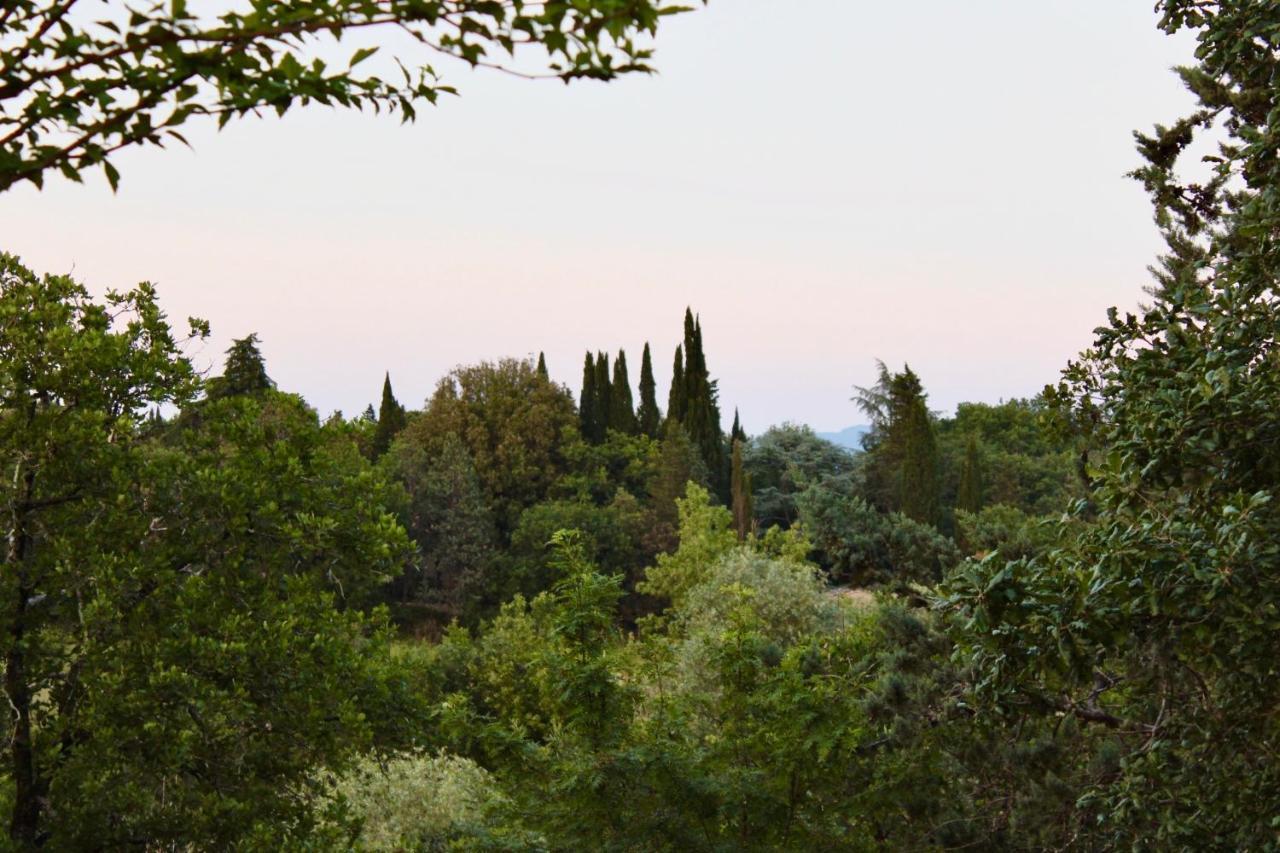 B&B Terre Toscane Ciggiano Exterior foto